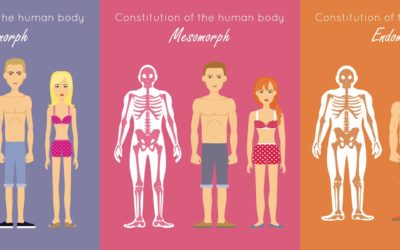 Conoce Tu Tipo de Cuerpo o Somatotipo