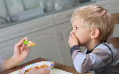 Niños quisquillosos para comer o Picky Eaters